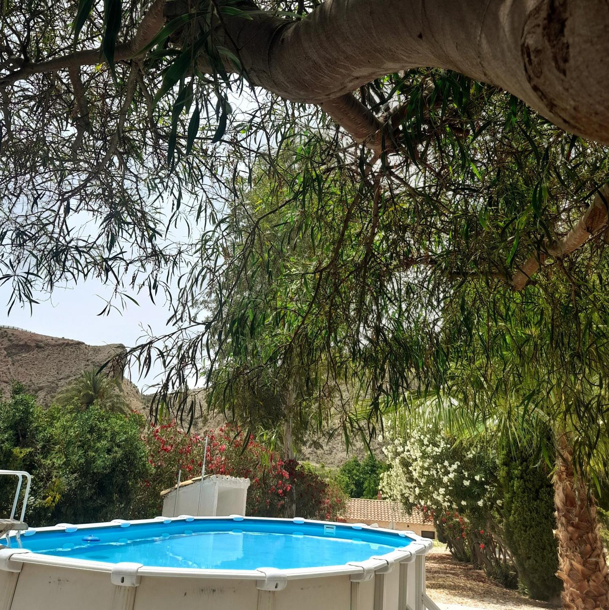 La Joya Del Valle De Ricote (Adults Only) Villanueva de Rio Segura Exterior photo
